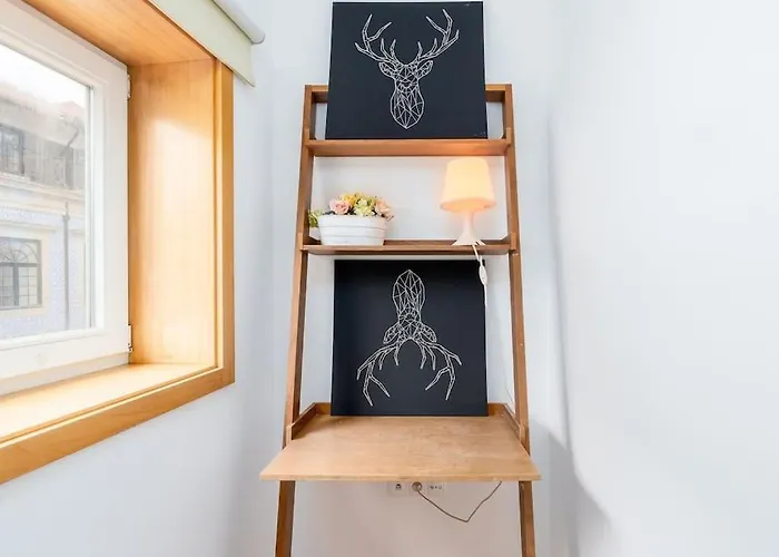 Daire Cedofeita Paradise W Parking Included Porto